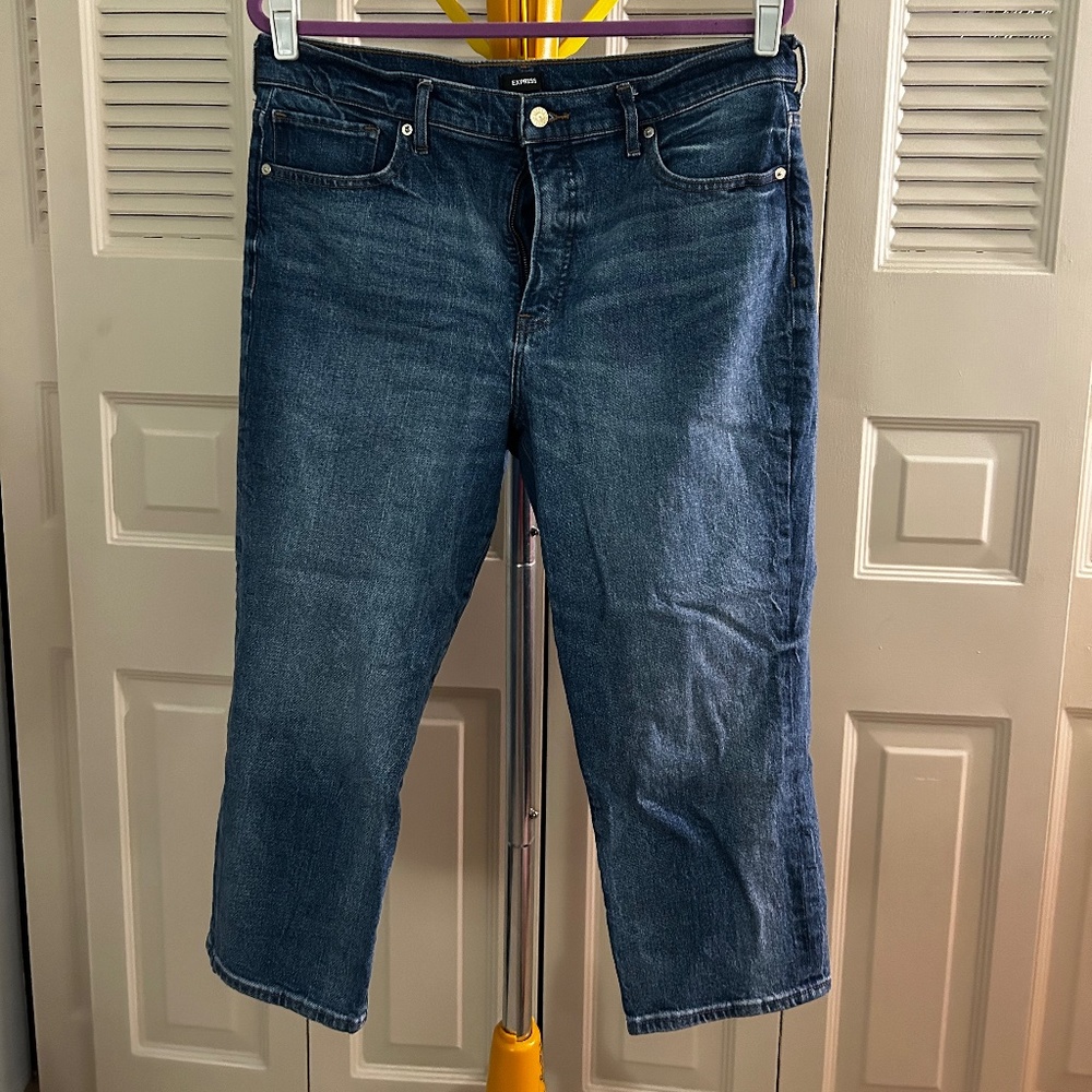 X-Large Petite Express Straight Ankle High Rise Jeans